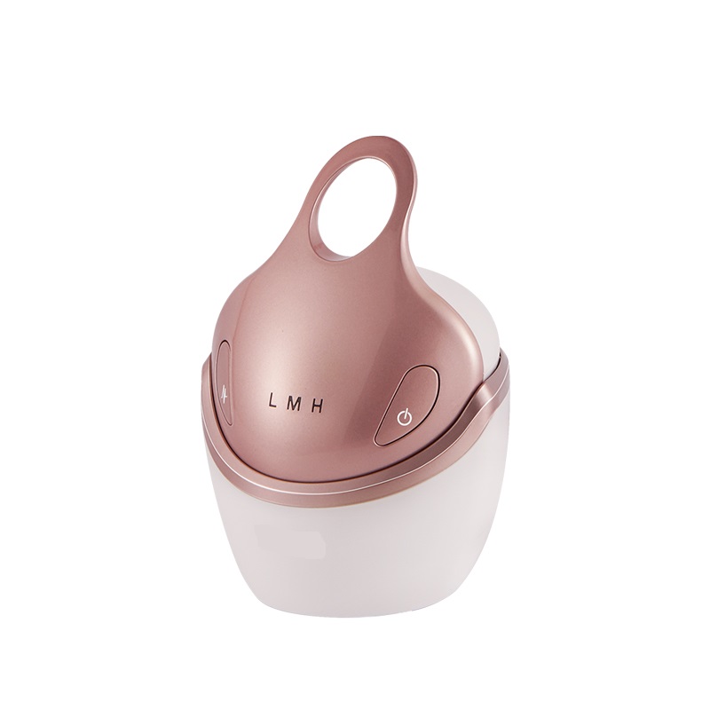 Multifunktionales EMS RF Facelifting Anti-Falten Elektrische Schönheitsausrüstung Hautstraffungsgerät