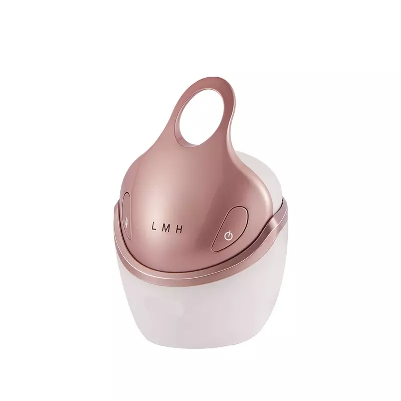 Multifunktionales EMS RF Facelifting Anti-Falten Elektrische Schönheitsausrüstung Hautstraffungsgerät